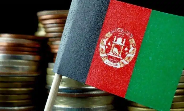 تحلیل بازار افغانستان برای سفارش عمده